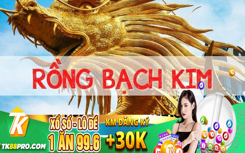 Rồng Bạch Kim - Soi Cầu Rồng Bạch Kim Miễn Phí Chính Xác 100 Rồng bạch kim